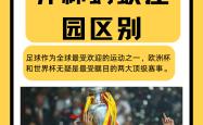 关于足球风云再起，英雄辈出欧洲杯资格赛燃情开赛的信息